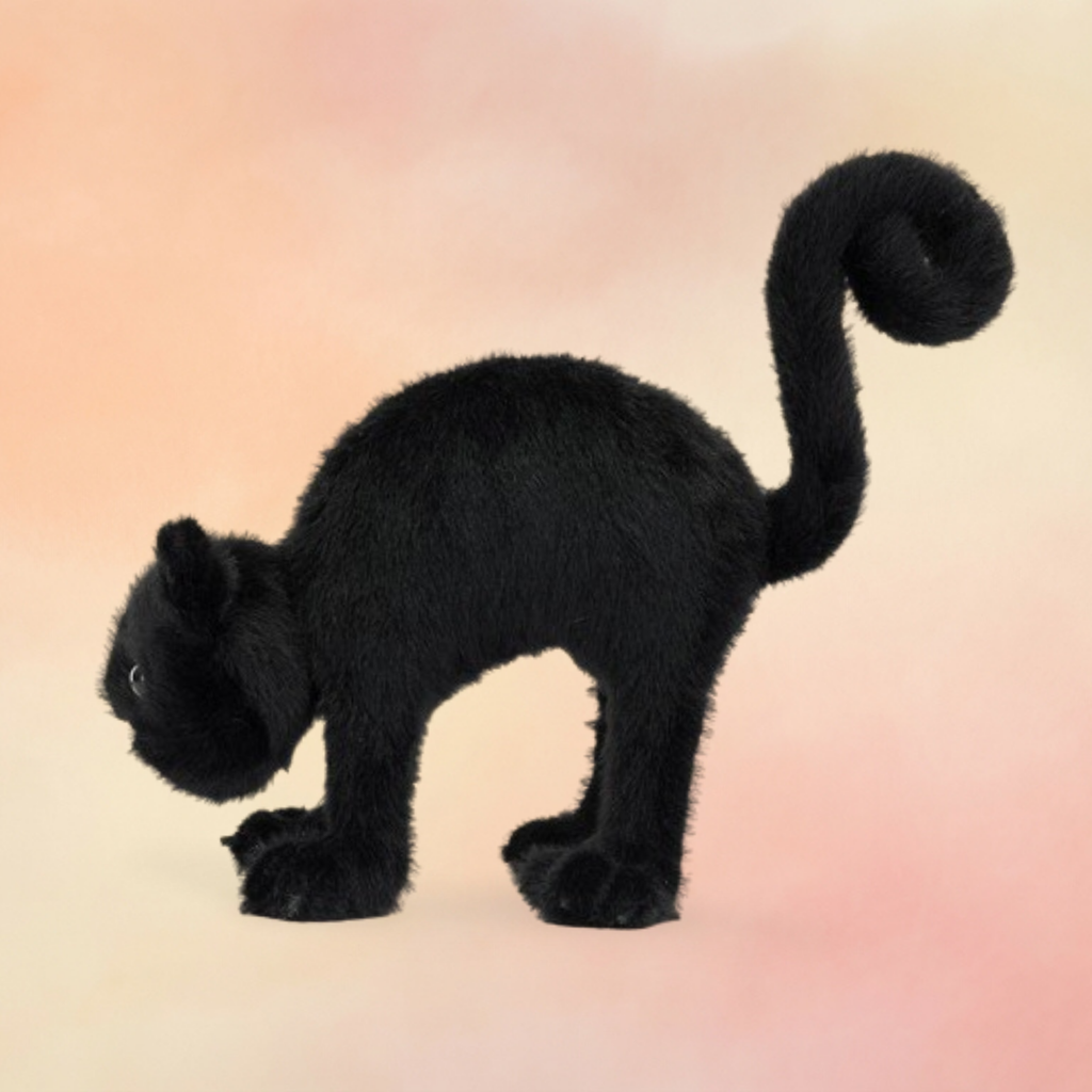 Spookipaws Cat | Cats & Kittens Collection