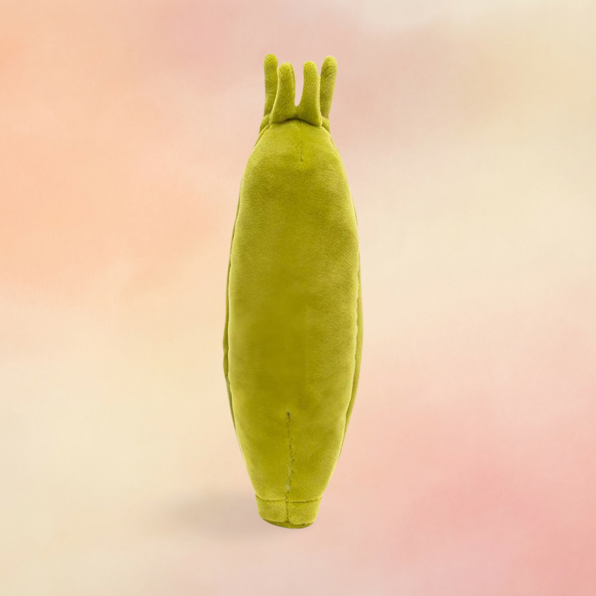 Vivacious Vegetable Sweetcorn | Vivacious Collection