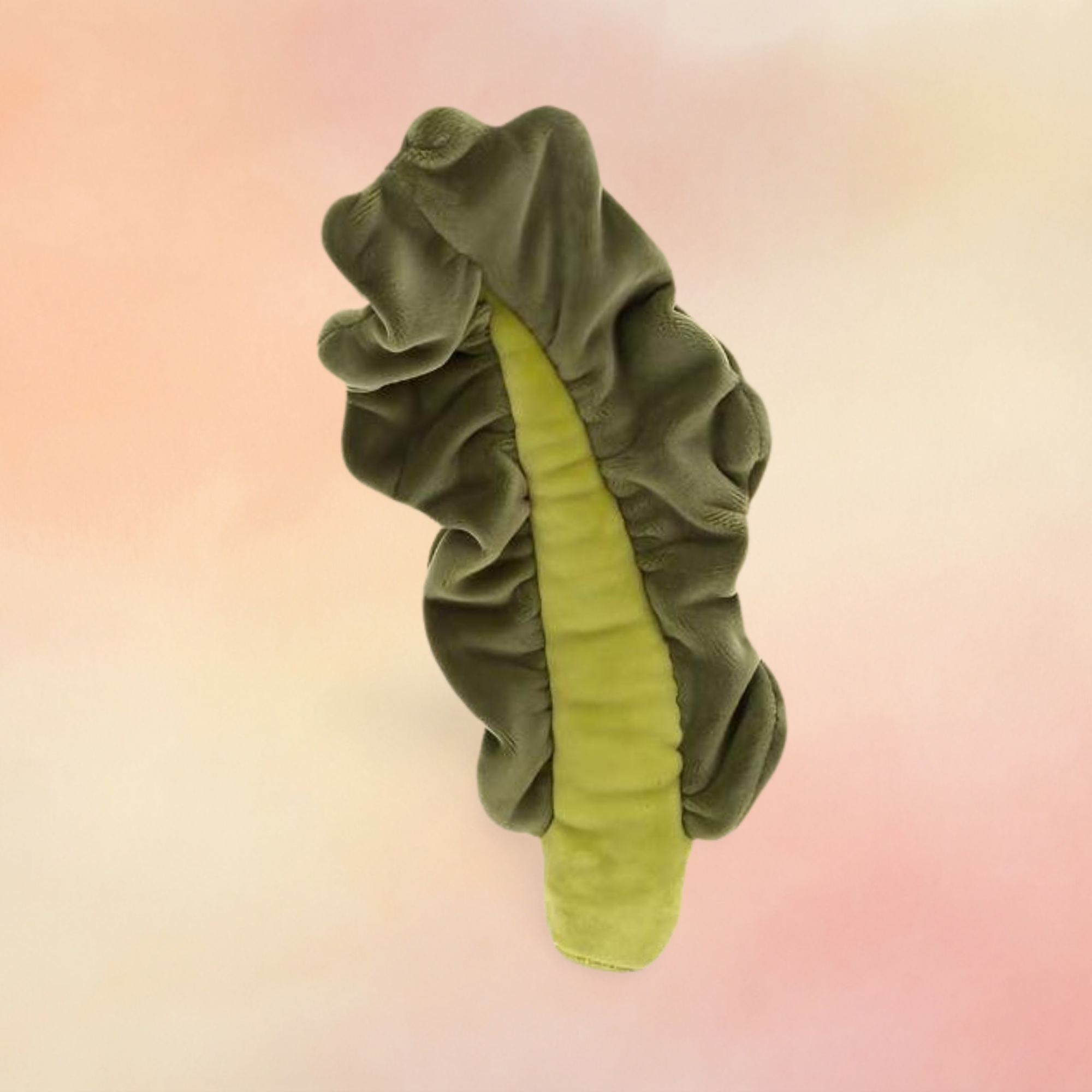 Vivacious Vegetable Kale Leaf | Vivacious Collection